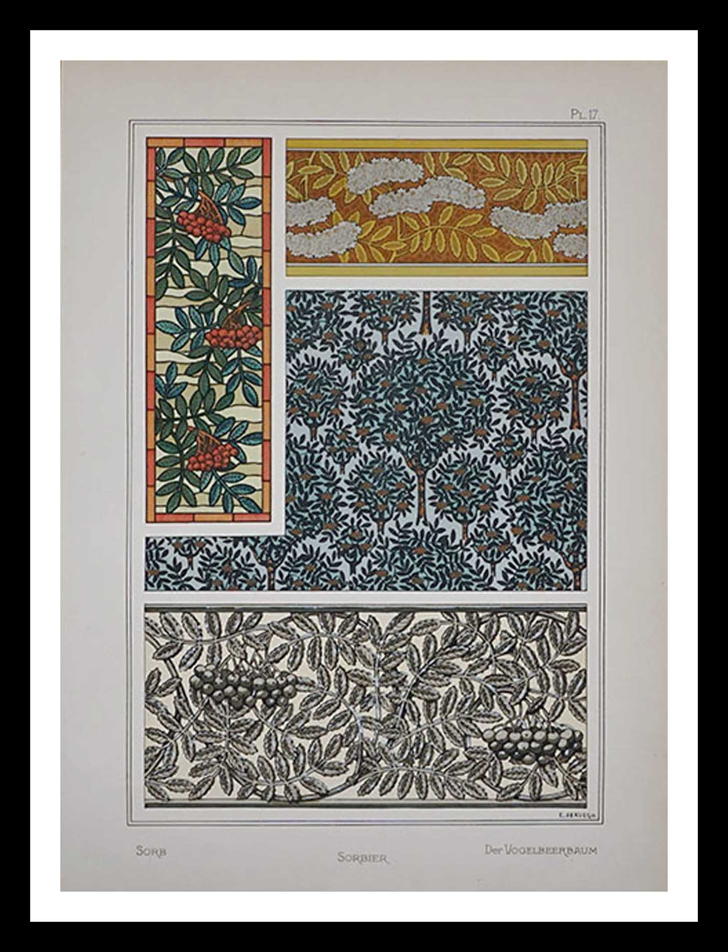 planche 17 La plante et ses applications ornementales Eugène Grasset 33 x 46 cm A+ Librairie Centrale des Beaux Arts E. Lévy editeurs 1896