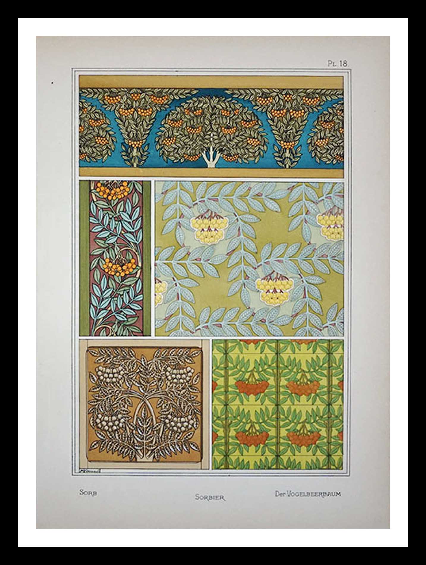 planche 18 La plante et ses applications ornementales Eugène Grasset 33 x 46 cm A+ Librairie Centrale des Beaux Arts E. Lévy editeurs 1896