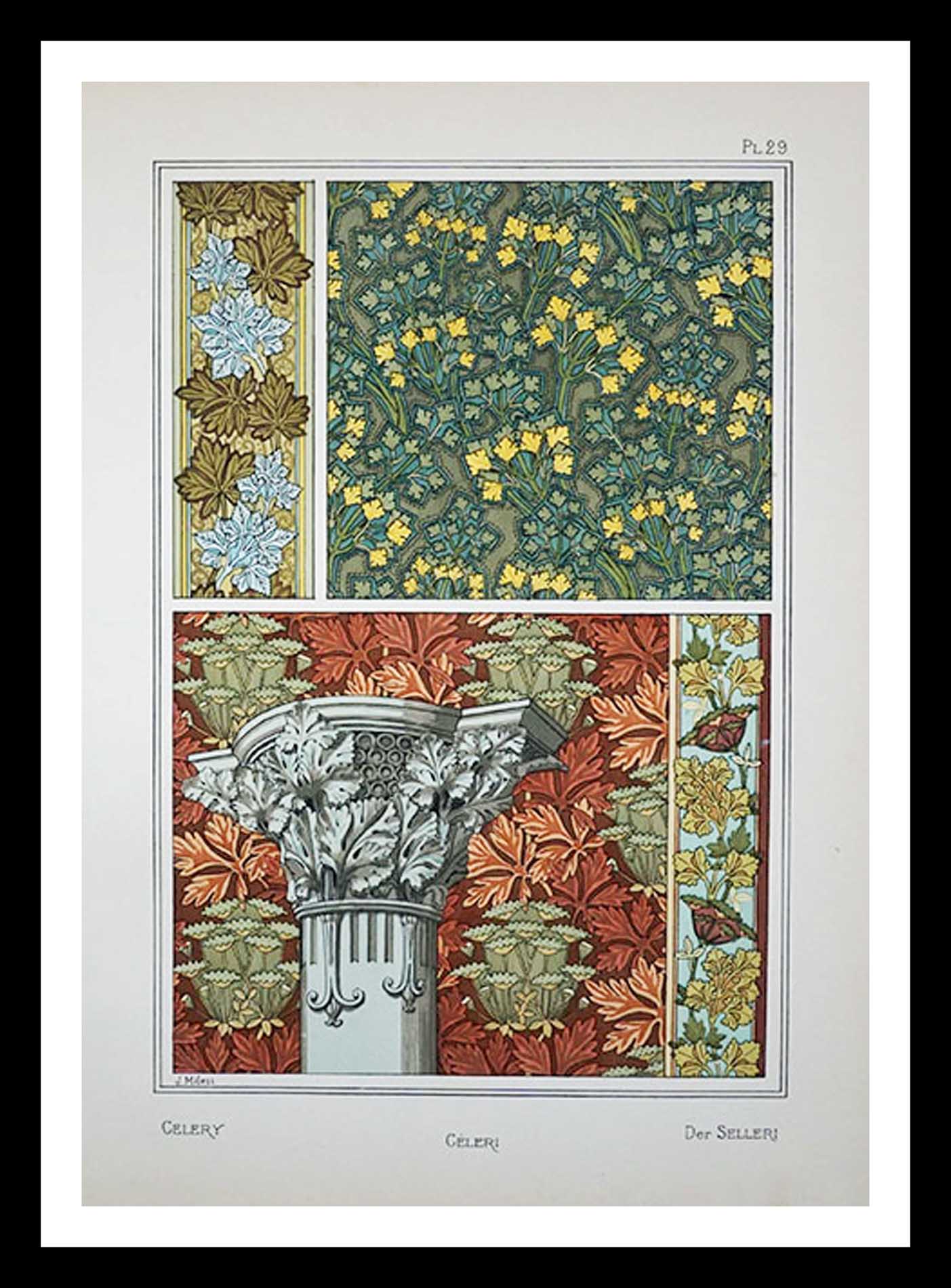 planche 29 La plante et ses applications ornementales Eugène Grasset 33 x 46 cm A+ Librairie Centrale des Beaux Arts E. Lévy editeurs 1896