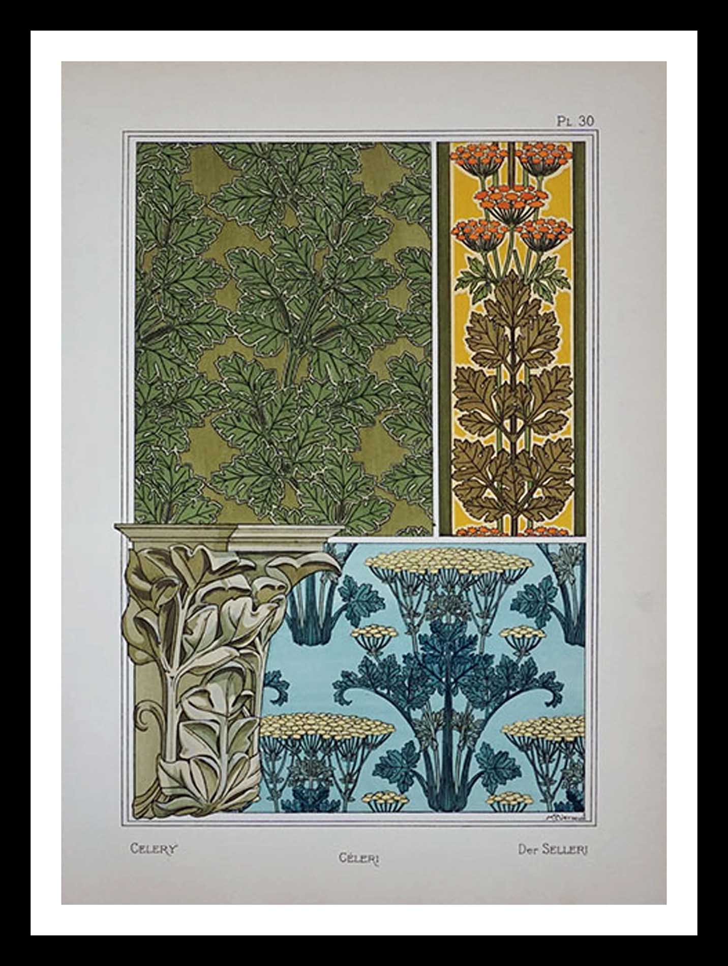 planche 30 La plante et ses applications ornementales Eugène Grasset 33 x 46 cm A+ Librairie Centrale des Beaux Arts E. Lévy editeurs 1896