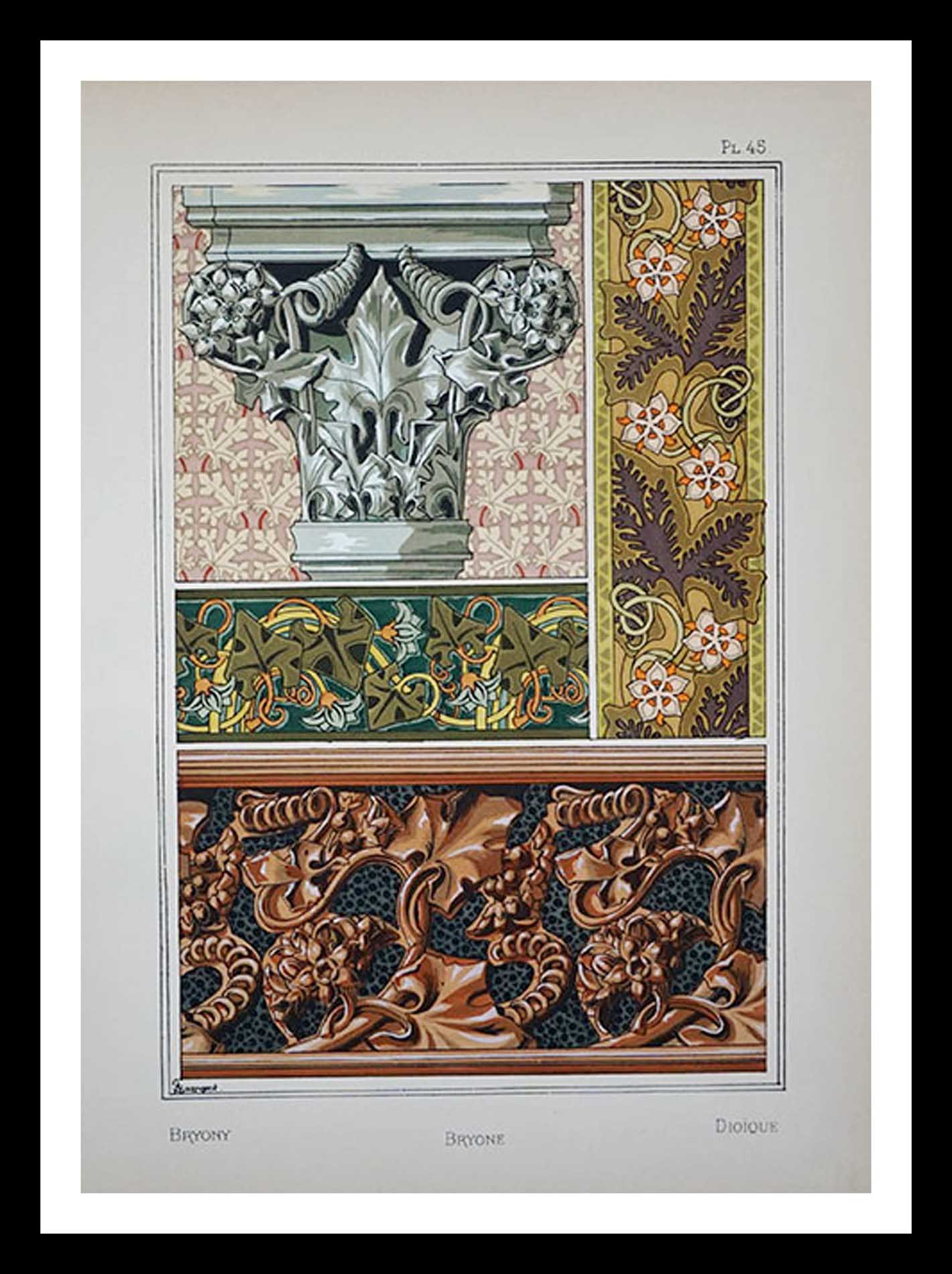 planche 45 La plante et ses applications ornementales Eugène Grasset 33 x 46 cm A+ Librairie Centrale des Beaux Arts E. Lévy editeurs 1896