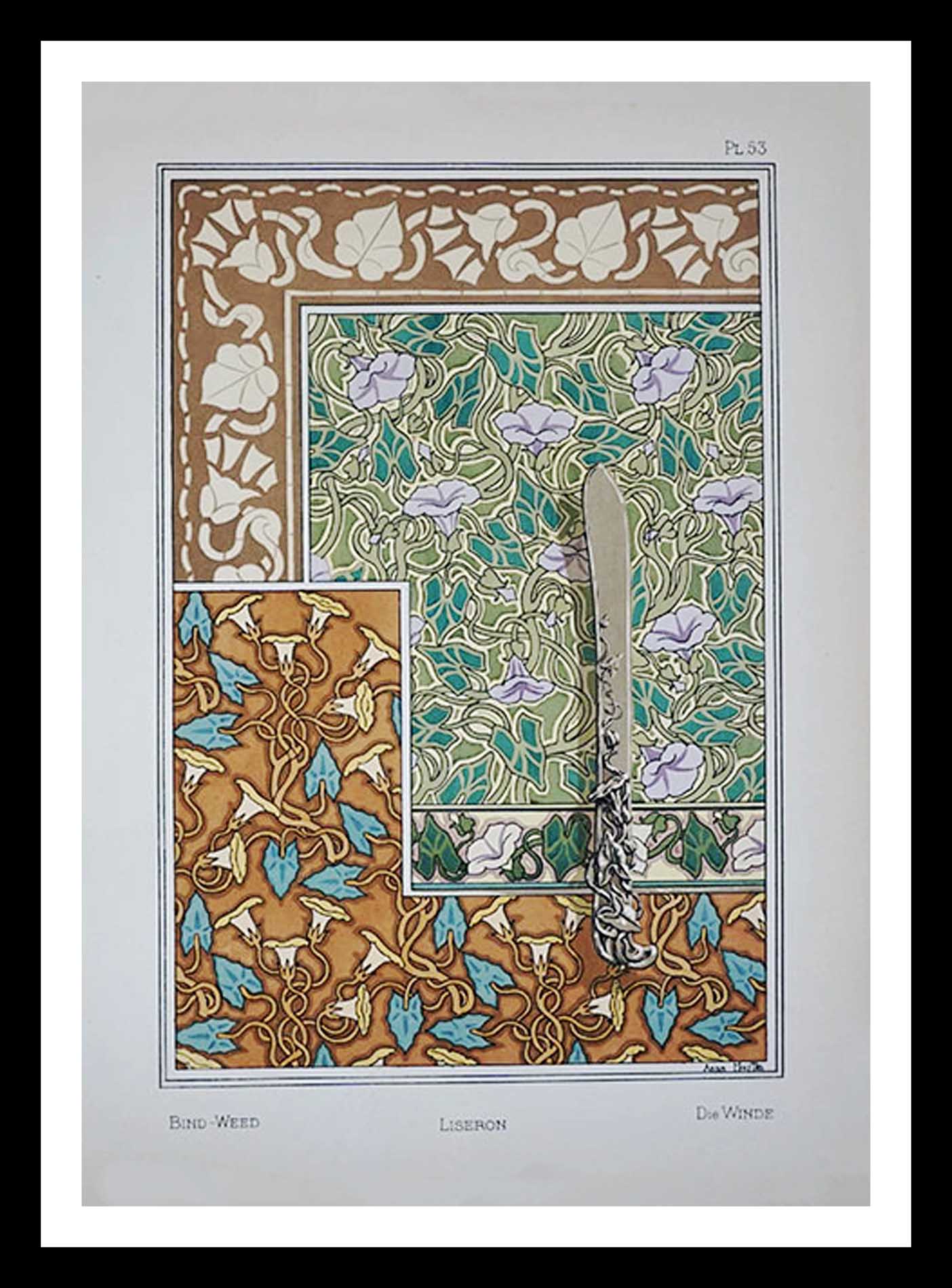 planche 53 La plante et ses applications ornementales Eugène Grasset 33 x 46 cm A+ Librairie Centrale des Beaux Arts E. Lévy editeurs 1896