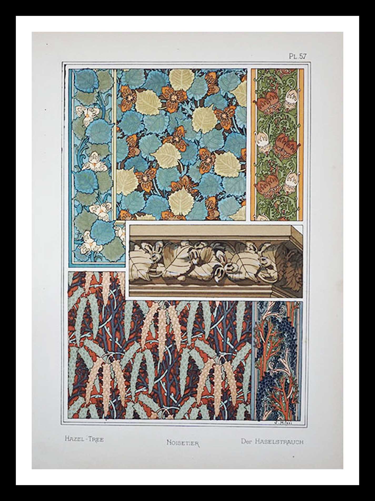 planche 57 La plante et ses applications ornementales Eugène Grasset 33 x 46 cm A+ Librairie Centrale des Beaux Arts E. Lévy editeurs 1896