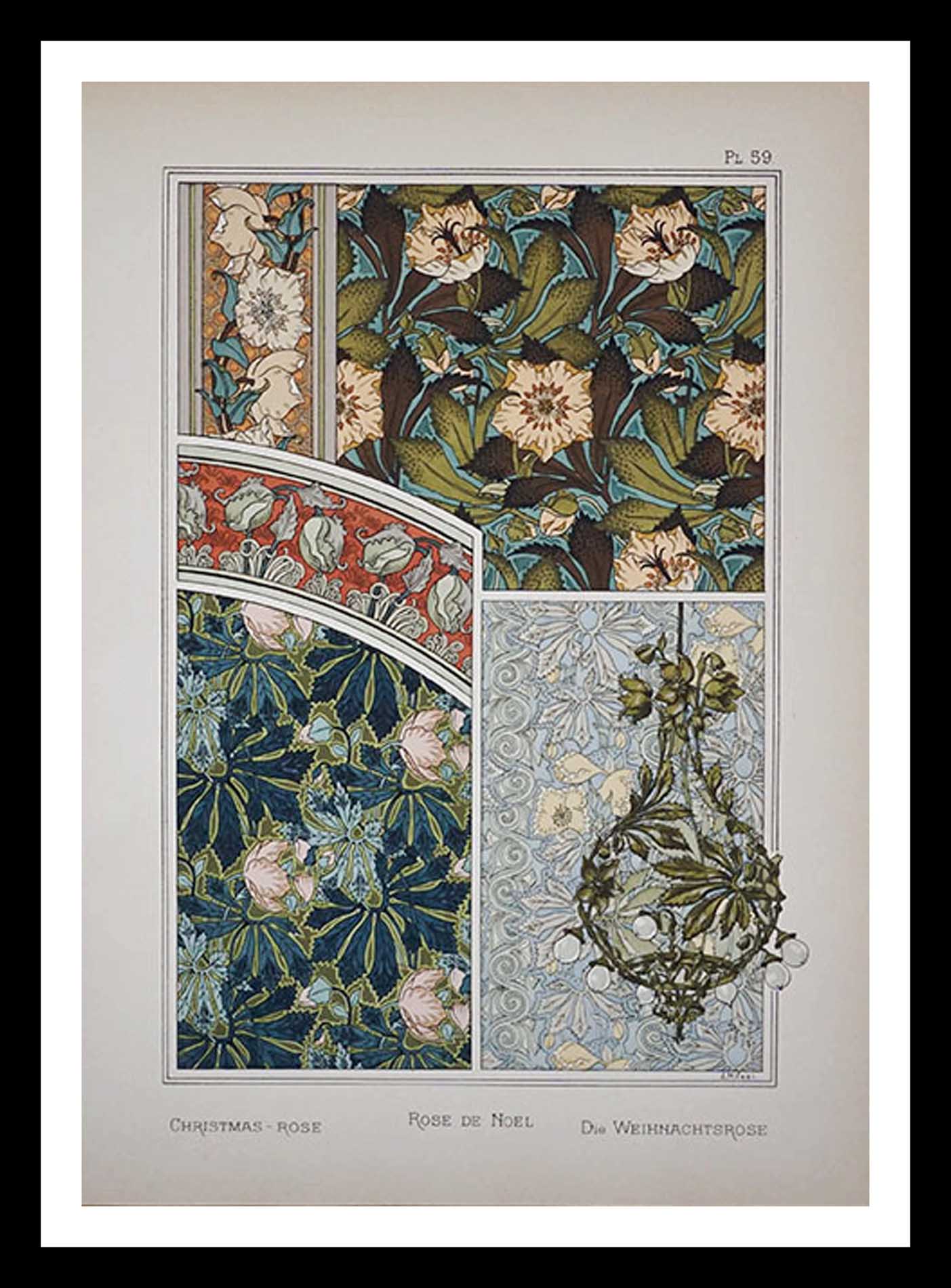 planche 59 La plante et ses applications ornementales Eugène Grasset 33 x 46 cm A+ Librairie Centrale des Beaux Arts E. Lévy editeurs 1896