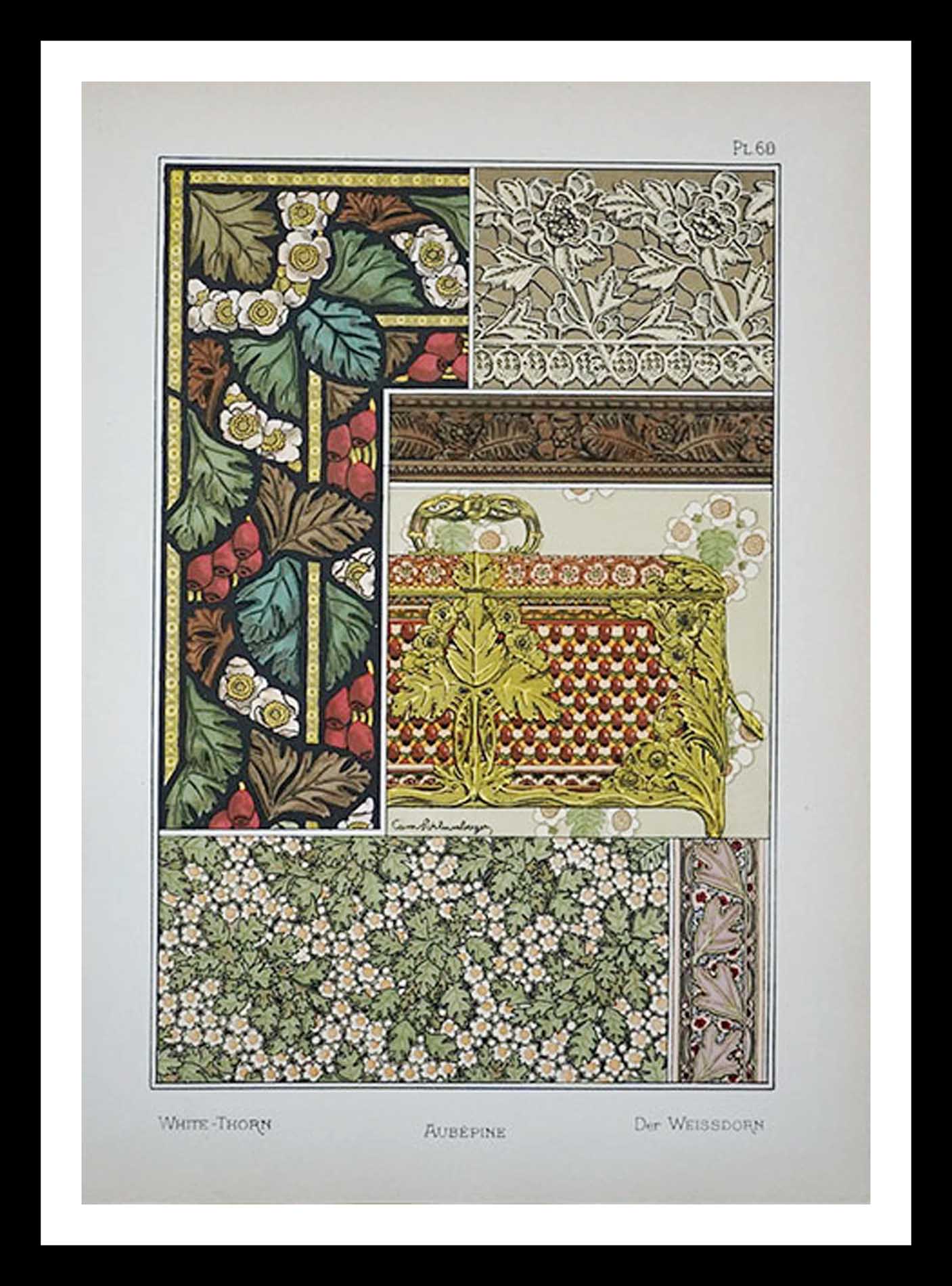 planche 60 bis La plante et ses applications ornementales Eugène Grasset 33 x 46 cm A+ Librairie Centrale des Beaux Arts E. Lévy editeurs 1896