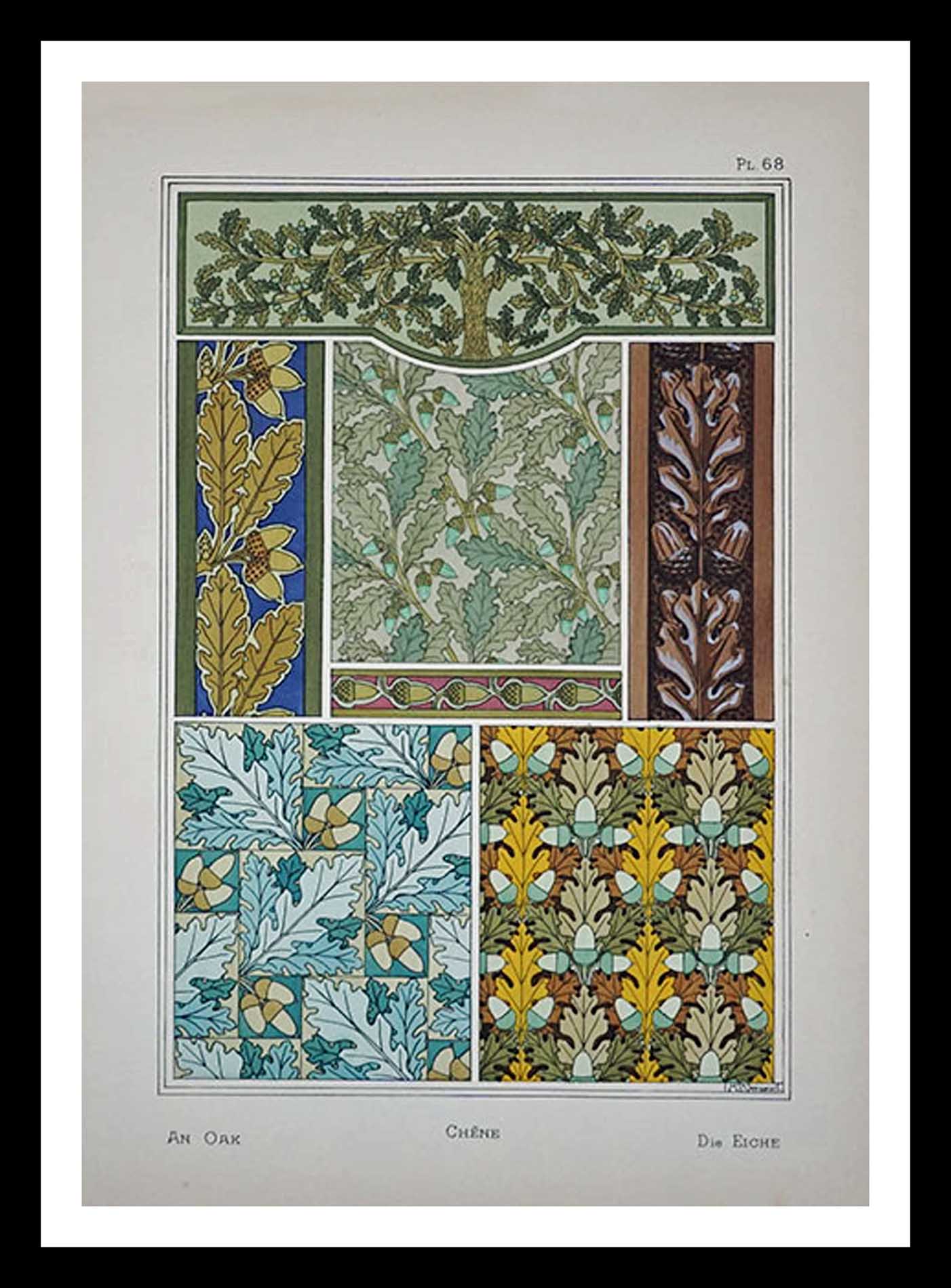 planche 68 La plante et ses applications ornementales Eugène Grasset 33 x 46 cm A+ Librairie Centrale des Beaux Arts E. Lévy editeurs 1896