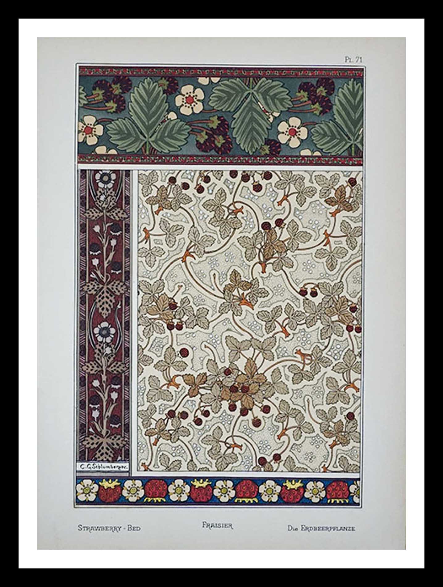 planche 71 La plante et ses applications ornementales Eugène Grasset 33 x 46 cm A+ Librairie Centrale des Beaux Arts E. Lévy editeurs 1896